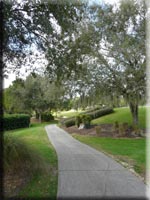 Buggy trail