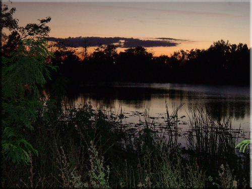 Lake Joe at dusk