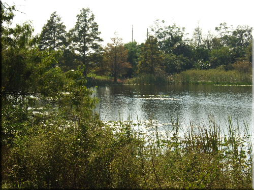 Lake Joe from the bottom of the garden